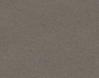 [1001111122_9] Showtime Color showtime - 900273 sandstone